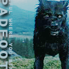 Padfoot:Imissyou